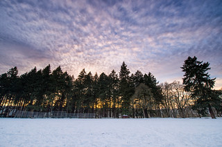 sunset over a snowy Sellwood Park