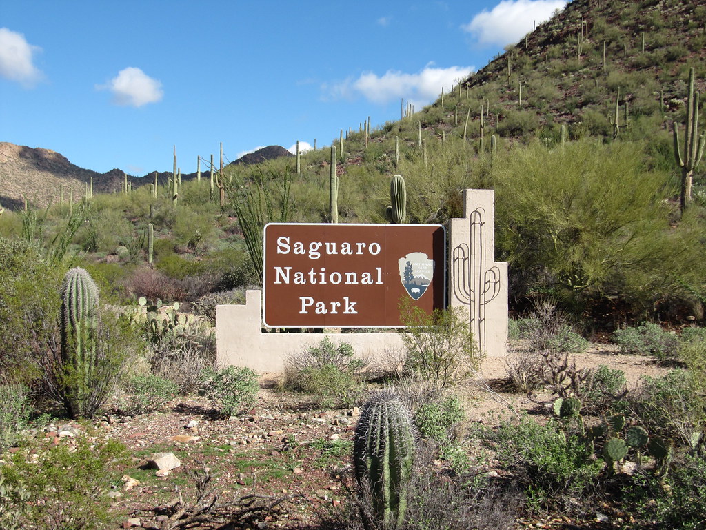 Saguaro NP - Tuscon Mountain District 