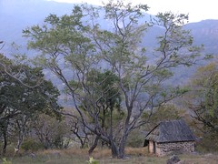 Shed - Almacén y campo entre Santa Catarina Cuananá y Yutanino (Región Mixteca), Oaxaca, Mexico