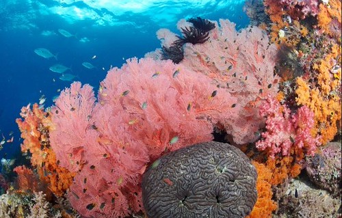 Raja Ampat