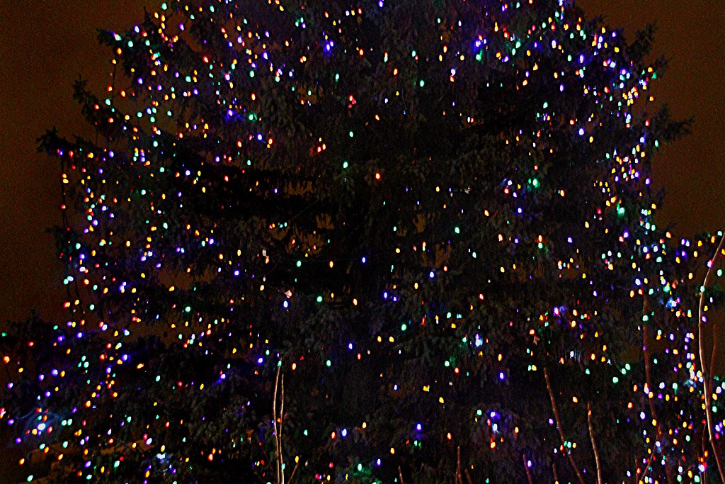 Christmas Tree | This is a photo of a Christmas tree I took … | Flickr