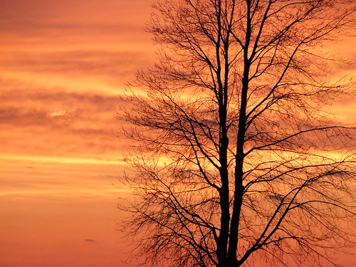 trees sunset sky ontario beach clouds lakeerie