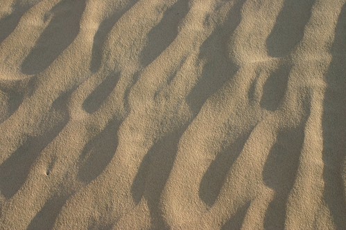Dune | by socialpyramid