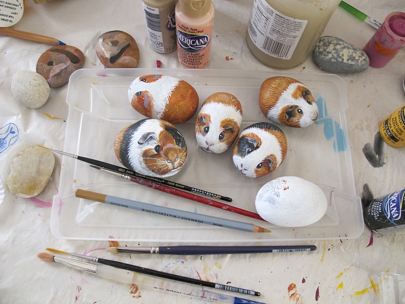 New guinea pigs painted on rocks