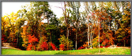 autumn color canonautumn autumnatmyhome