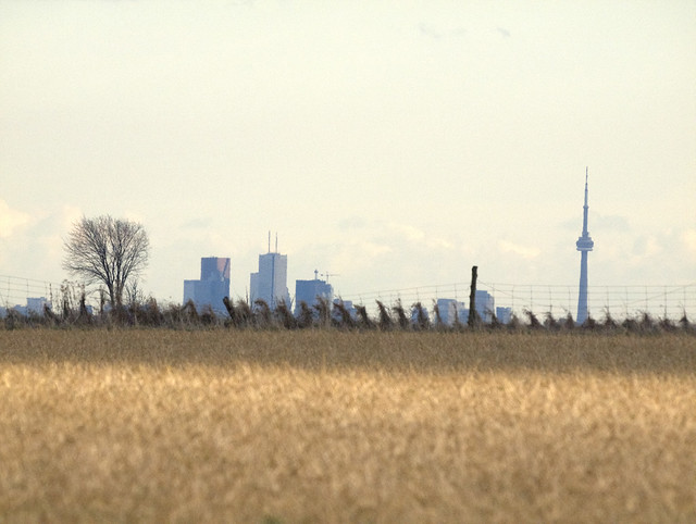 Toronto Skyline in Caledon, Winter 2012