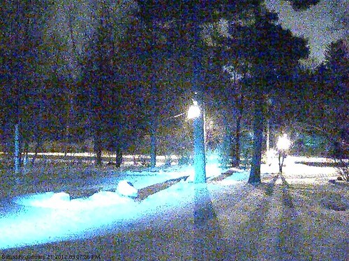camera light red ny nature station video wildlife surveillance upstate fox network hid server axis networkattachedstorage nas mammalia vixen pittsford carnivora chordata redfoxes canidae vulpes synology ds211 m1054