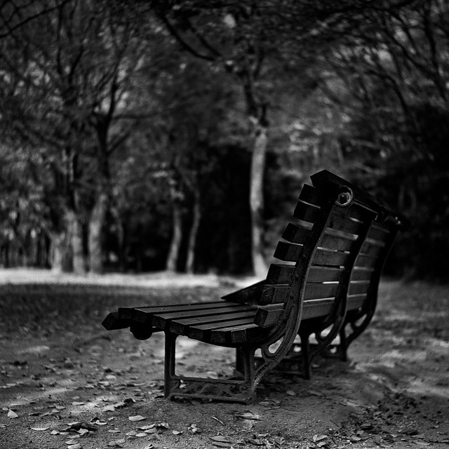 bench in monochrome, winter afternoon