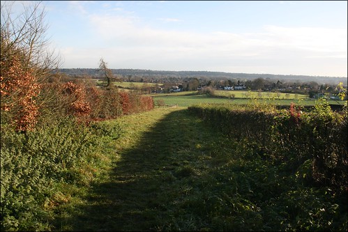 The Thames valley near Cookham 