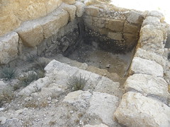 Miqveh' in the Herodium