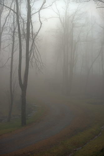 road trees mist building fog rural landscape nebel scenic northcarolina