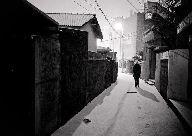 Alley in winter