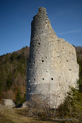 Château d'Ergüel DSC_6421