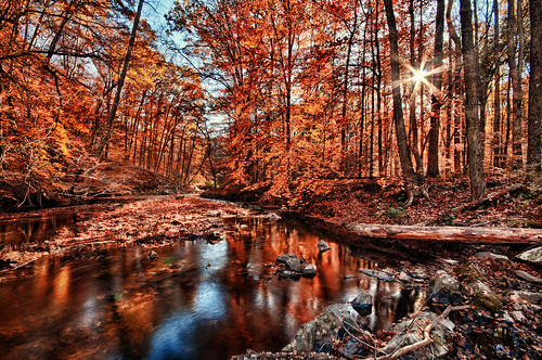 park autumn fall forest sunrise virginia prince william va hdr worldhdr