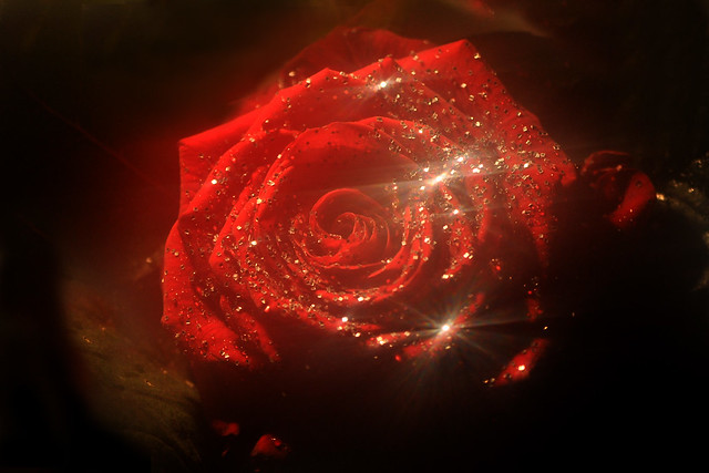 Rose glitter in color