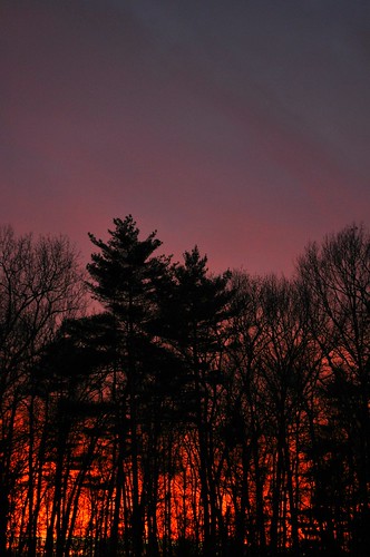 winter sunset sky color silhouette