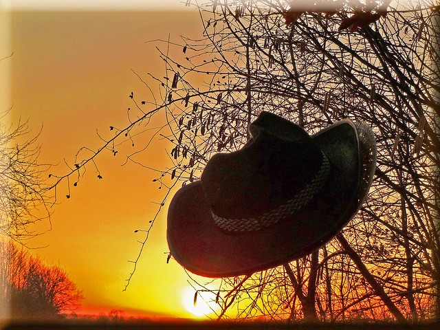 My sun hat - also grows in winter!  :-)))