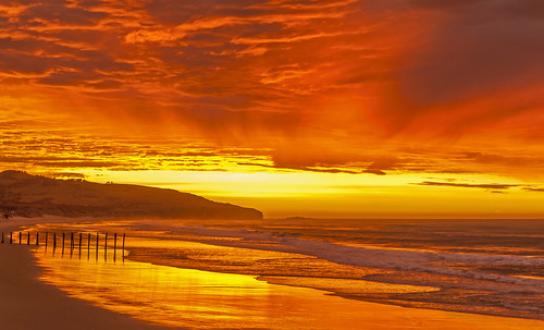 ocean newzealand reflection beach sunrise pier waves southisland dunedin