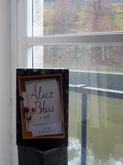 Alice Looks Out at Belgium!