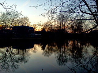 Abbott's Pond at Rowan University