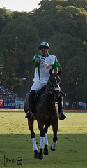 Final Abierto Argentino de Polo 2011