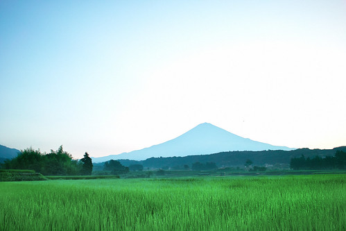 summer sky green bird nature japan sunrise landscape sigma fujisan 富士山 静岡 dp1x