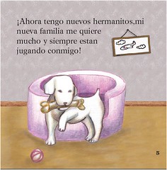Cuento Nº5