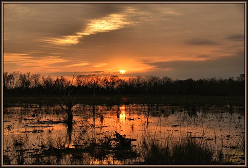 park sunset sun reflection nature clouds pond texas wildlife houston swamp wanam3 elfrancoleepark