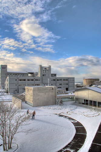 IMG_3628 by youkaine, morning winter cloud snow ice japan sunrise snowman chiba slippery katsuura 日本 千葉 勝浦 房総半島 房総 半島 冬 雪