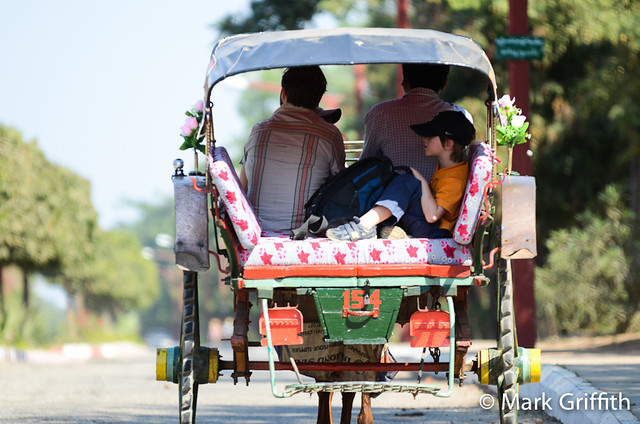 Buggy Riding