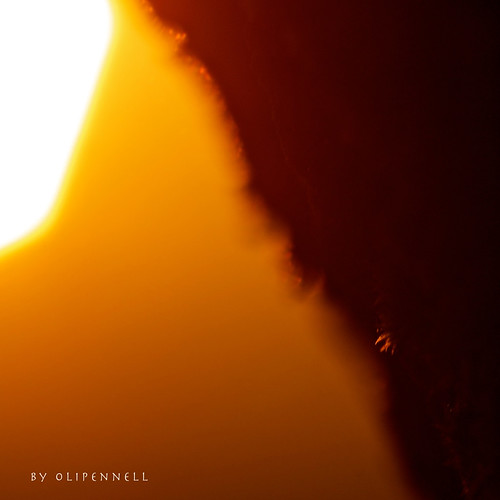 forest sunrise germany moss olympus wald sonnenaufgang moos 105mm neckarsulm badenwürttemberg obereisesheim dornet