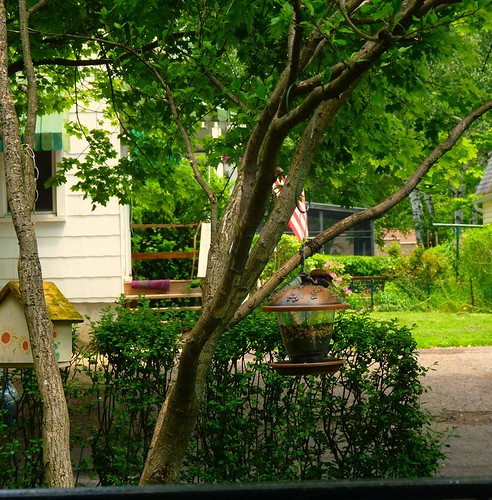 Americana | by di_the_huntress