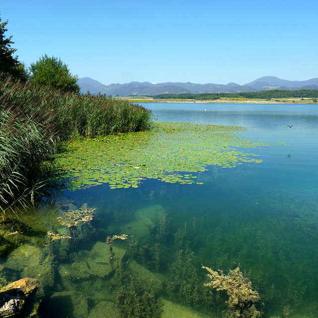 Velenje lake - Jewels of nature