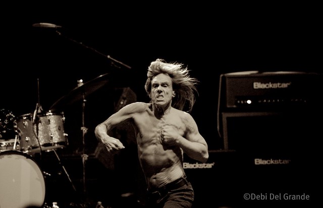 IGGY AND THE STOOGES (IGGY POP)
