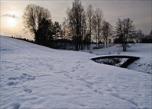 bridge winter sun snow tree golf landscape vinter course sverige bro snö kungälv romelanda