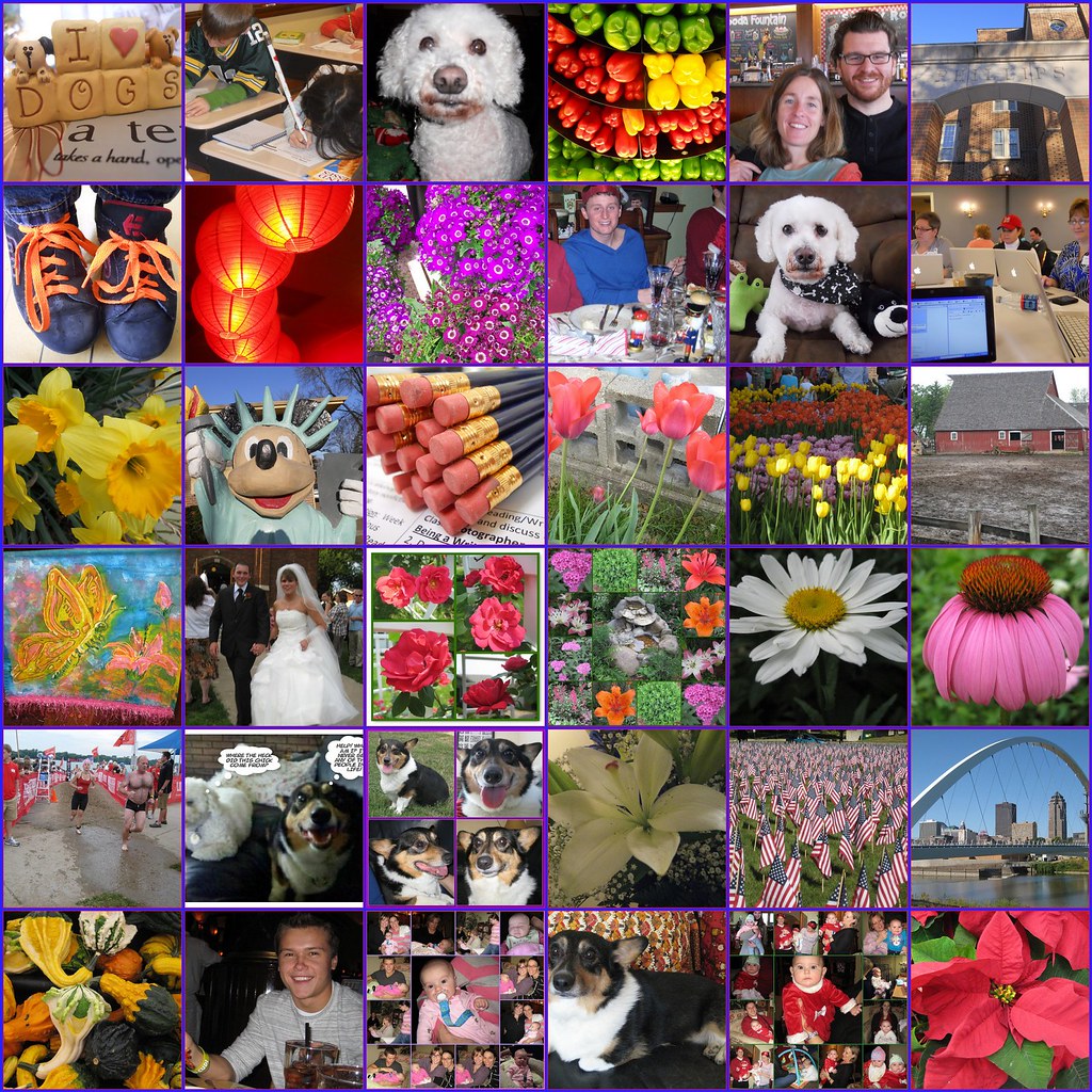 2011 Review | These are some of my favorite photos from 2011… | Flickr