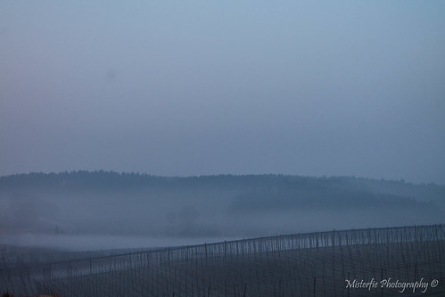 morning mist fog sunrise germany landscape bayern deutschland bavaria nebel landschaft sonnenaufgang morgen hallertau