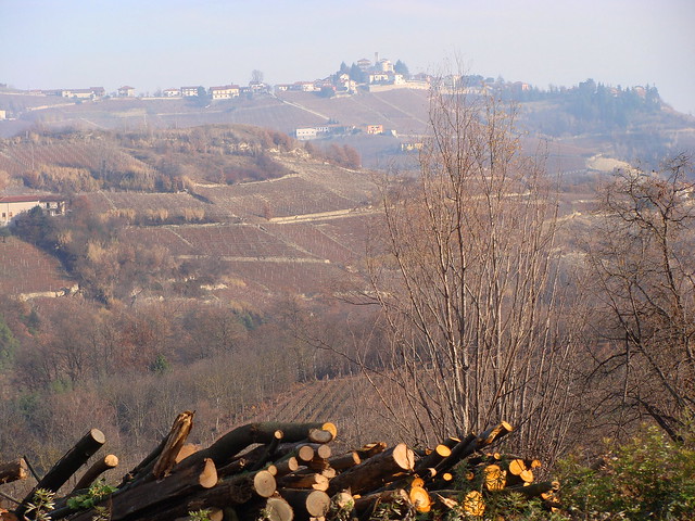Valle Belbo in autunno  -  Belbo Valley in Fall