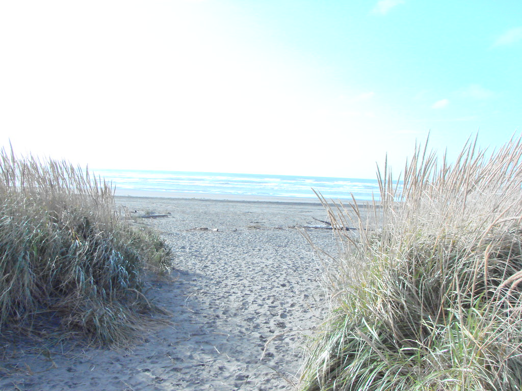 Entrance to the off leash beach at Ocean Shores, WA  Flickr