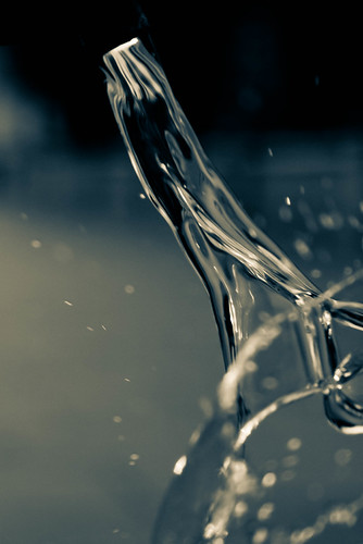 Wind interference (Explored - 10th Jan) | by elena carpani