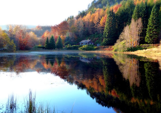 Polney Loch Autumn Colours .
