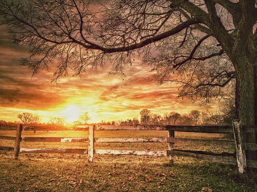 sky tree clouds fence landscape farm delaware hdr iphone horsefarm iphoneography iphone4s