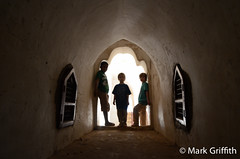 The Explorers