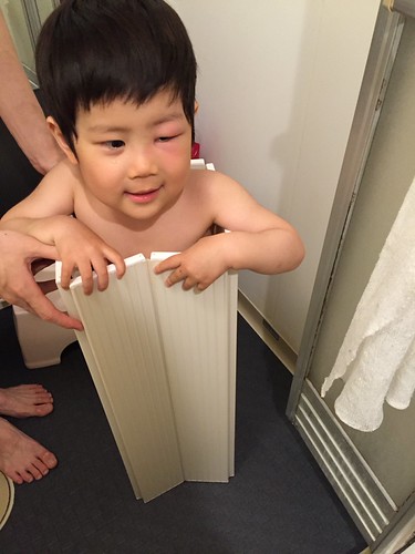 New photo added to "Camera Roll" | by fukumizu