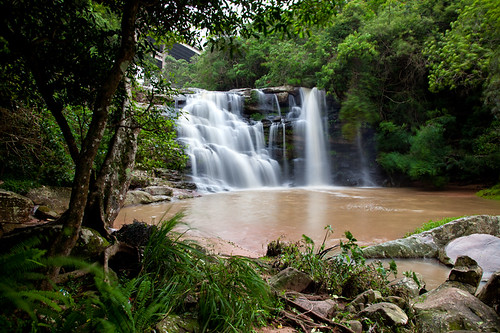 africa green nature water landscape southafrica waterfall hiking preserve naturepreserve paradisevalley kwazulunatal pinetown