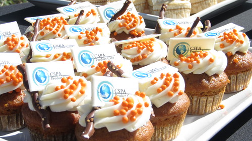 CSPA 2011 Annual Meeting: Product Care | by the_cspa