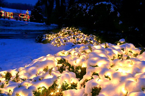 christmas trees winter snow chicago night sunrise festive timelapse illinois michigan christmaslights solstice presents kalamazoo festivities austere oaklawn okemos 2011 southwestmichigan kalamazoonaturecenter