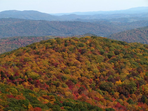 statepark nature virginia autumncolors graysonhighlands