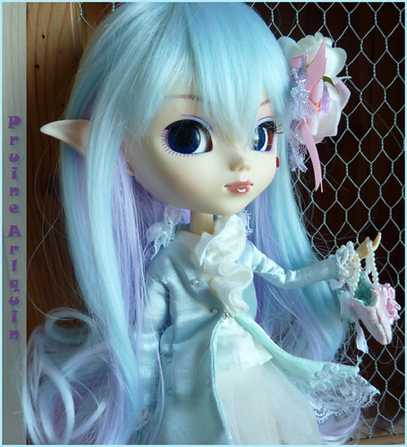 Pythie3 | by Kerien - Pruine Arlequin