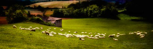Italian countryside | by dj pettitt